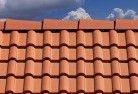 Hartwellroof-conversions-4.jpg; ?>